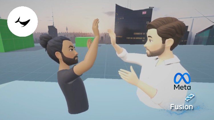 Unity VR Multiplayer Development Oculus Photon Fusion By Black Whale Studio