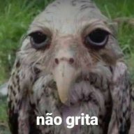Livonzera