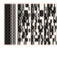 quantpath3579