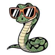 SNAKE78654