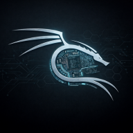 Kali_Net_Hunter@2522