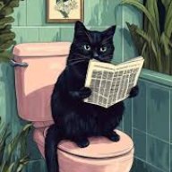 dblackcat
