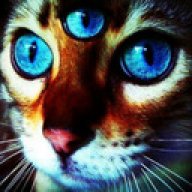 Elcat