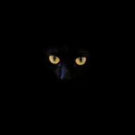 ShadowViper