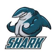 wireslesshark