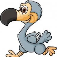 dodo404