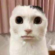 QOJOPD#@$%rfsws