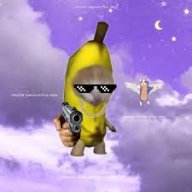 d0d0d9