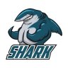 wireslesshark