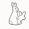 thewhiterabbits