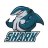 wireslesshark